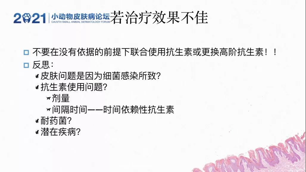 a5娱乐下载