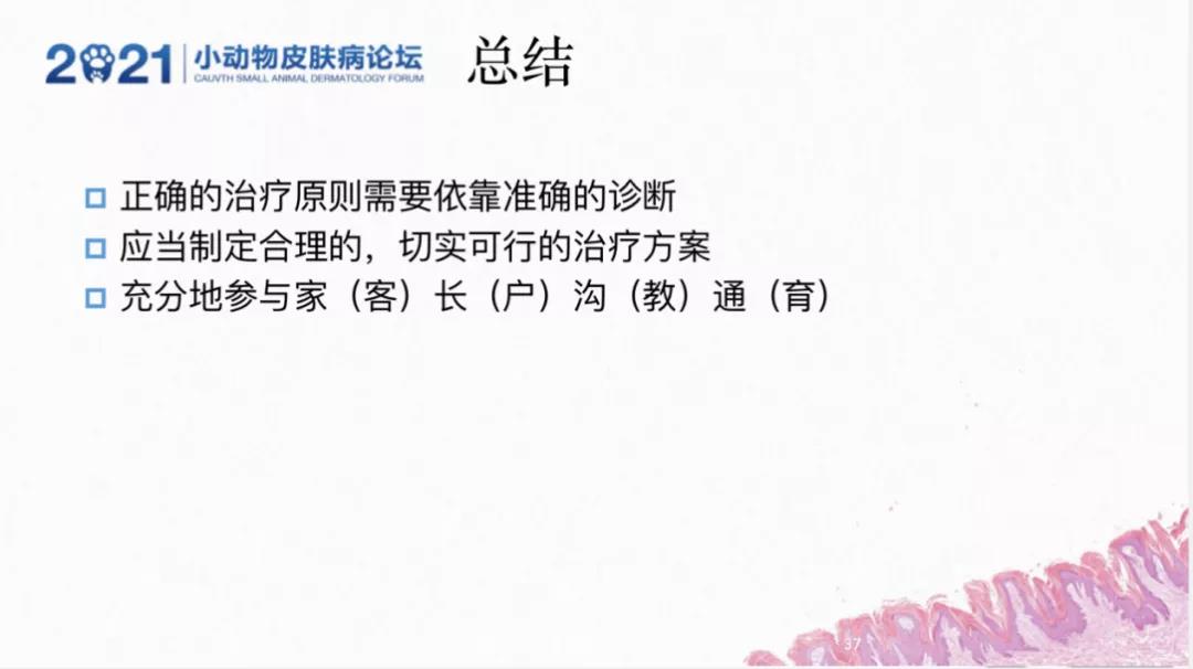 a5娱乐下载