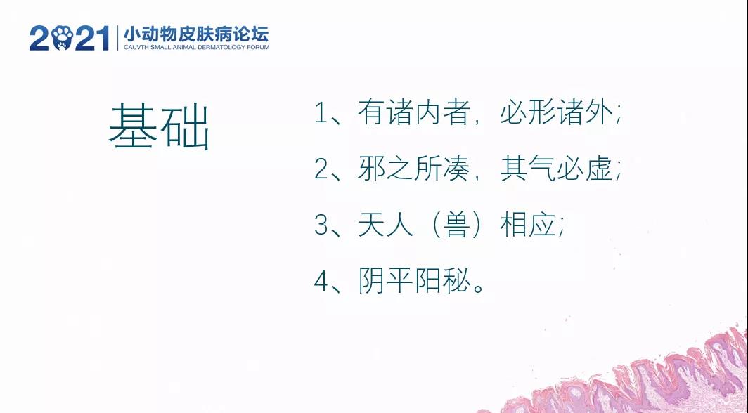 a5娱乐下载