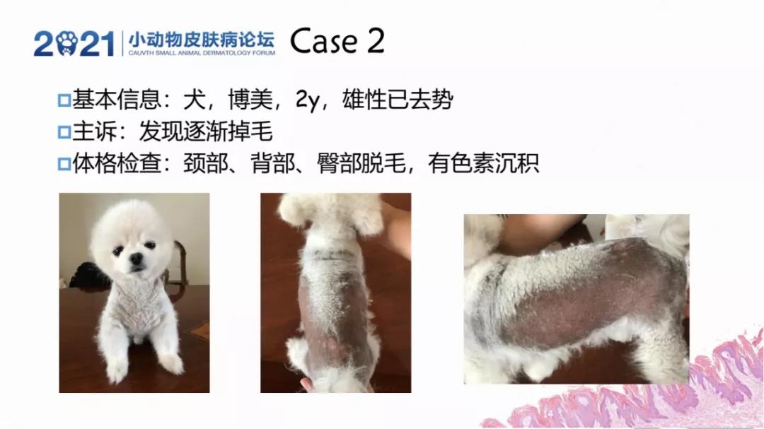 a5娱乐下载