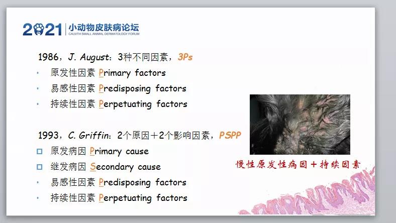 a5娱乐下载
