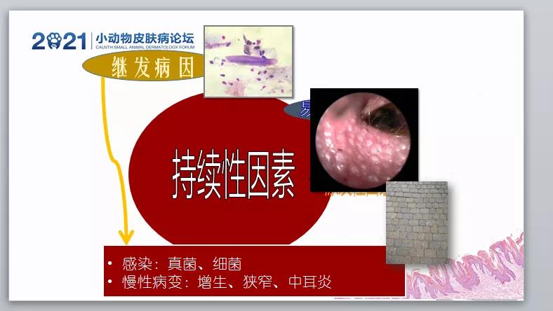 a5娱乐下载