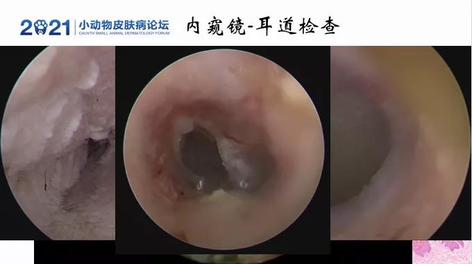 a5娱乐下载