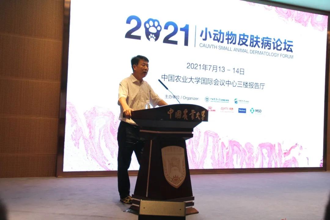 a5娱乐下载