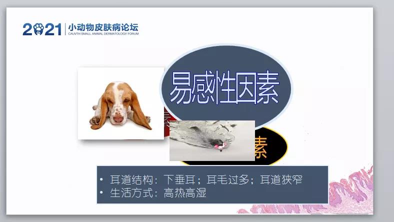 a5娱乐下载