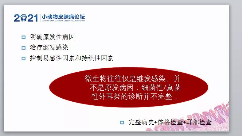 a5娱乐下载