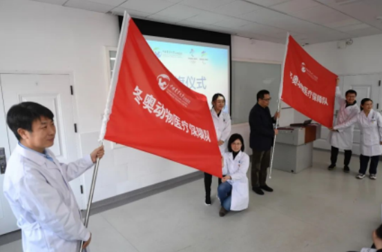 a5娱乐下载