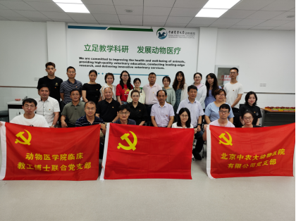 a5娱乐下载