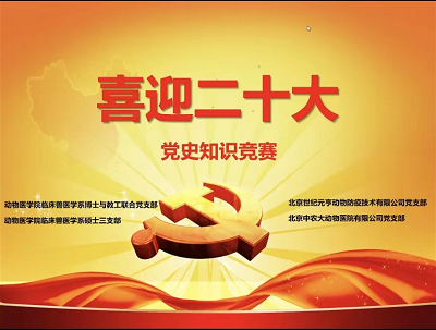 a5娱乐下载