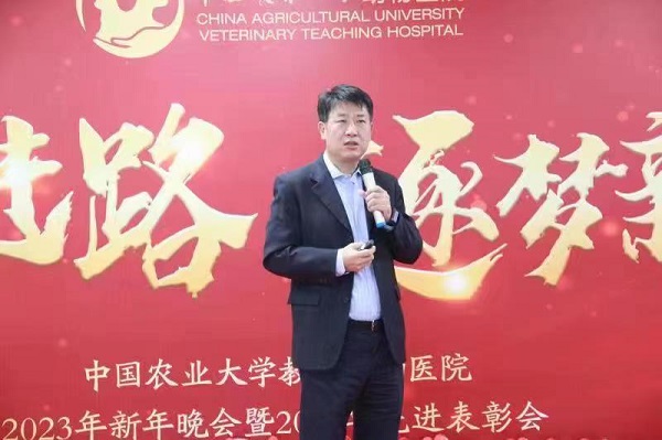 a5娱乐下载