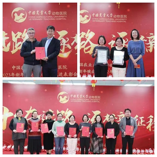 a5娱乐下载