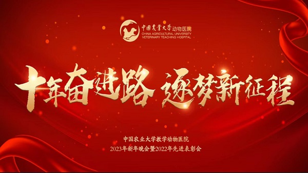 a5娱乐下载