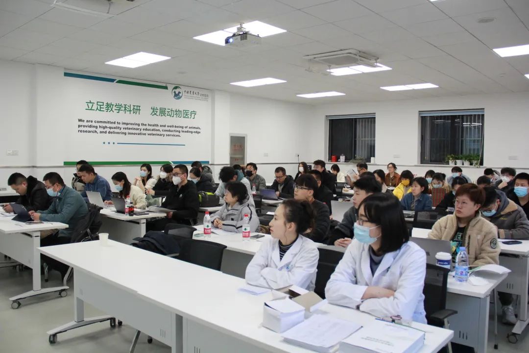 a5娱乐下载