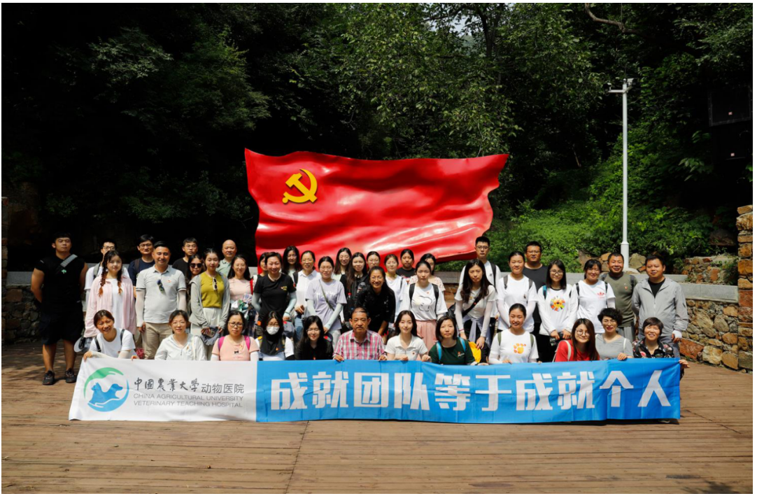 a5娱乐下载