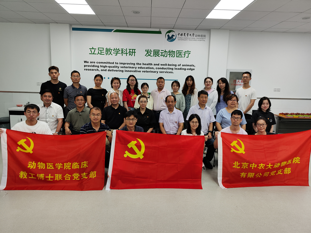 a5娱乐下载