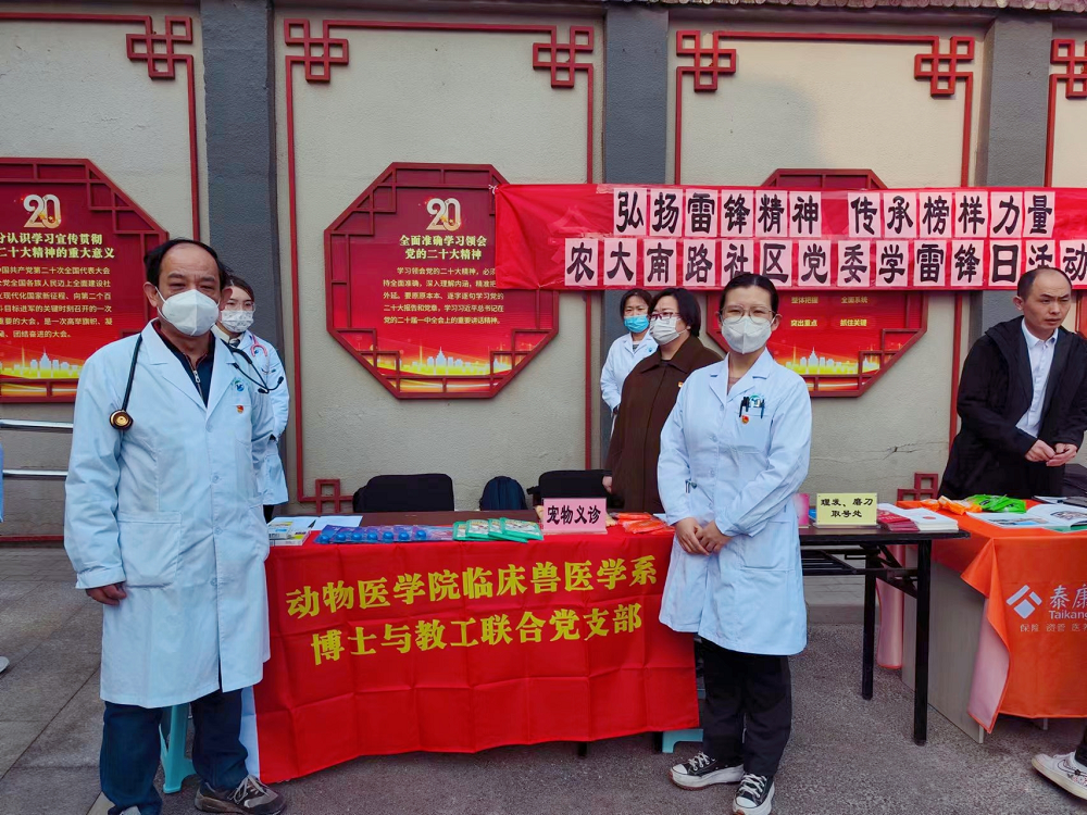 a5娱乐下载