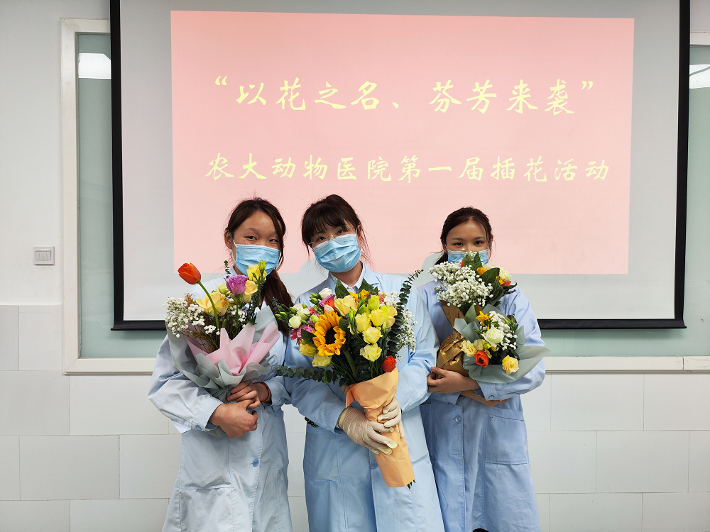 a5娱乐下载