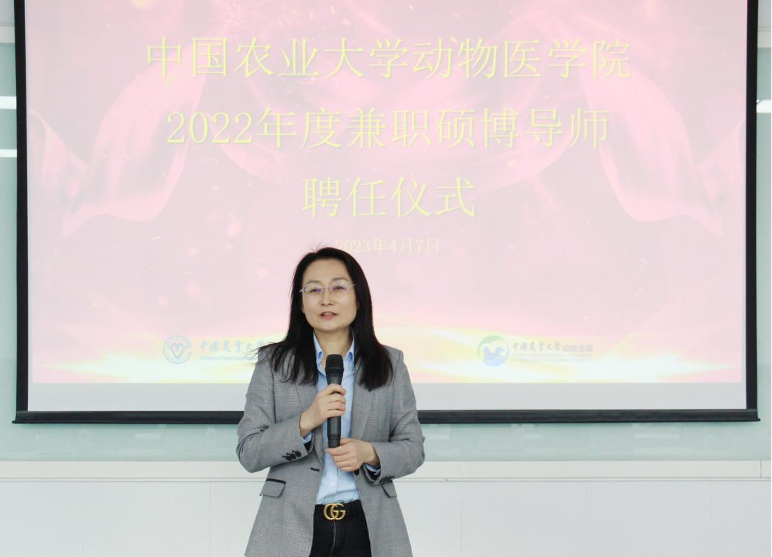 a5娱乐下载