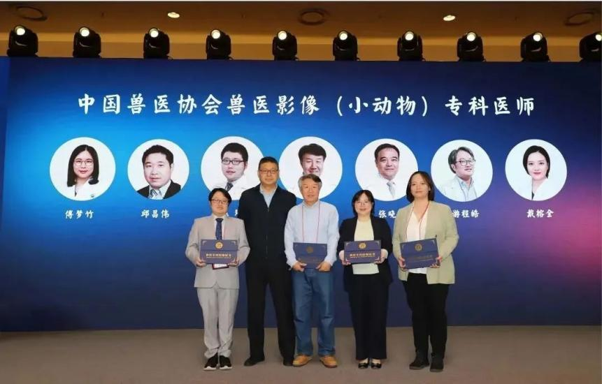 a5娱乐下载