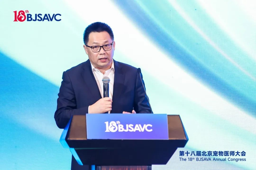 a5娱乐下载
