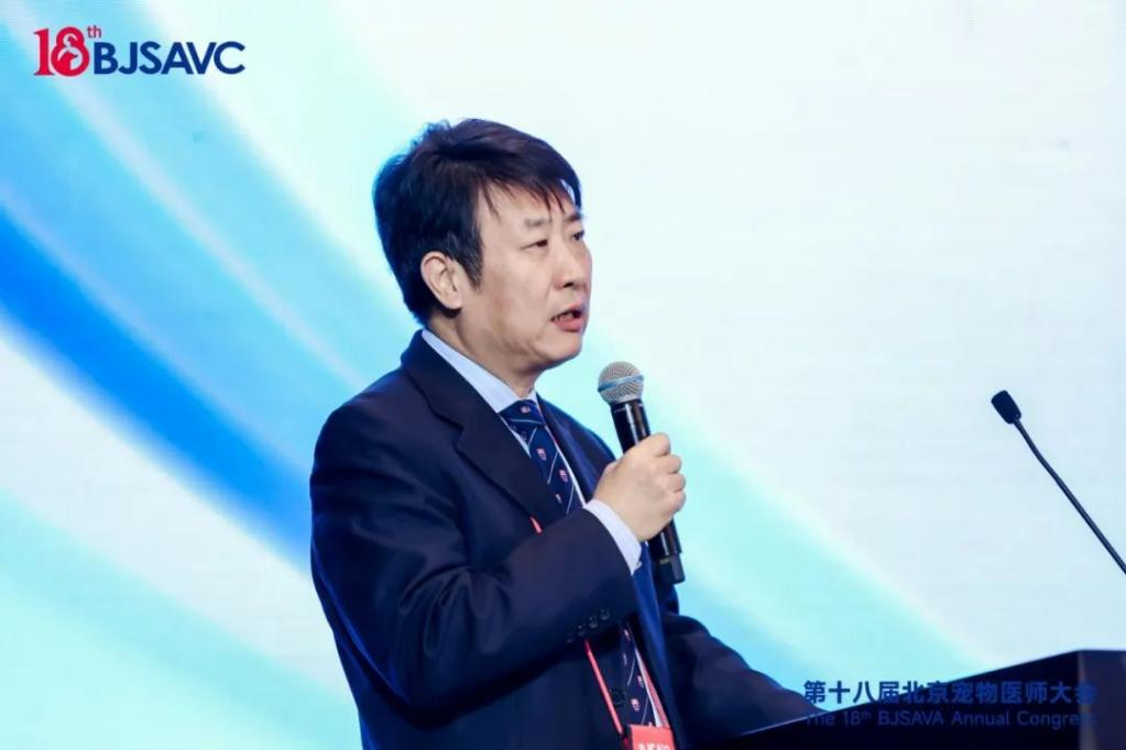 a5娱乐下载