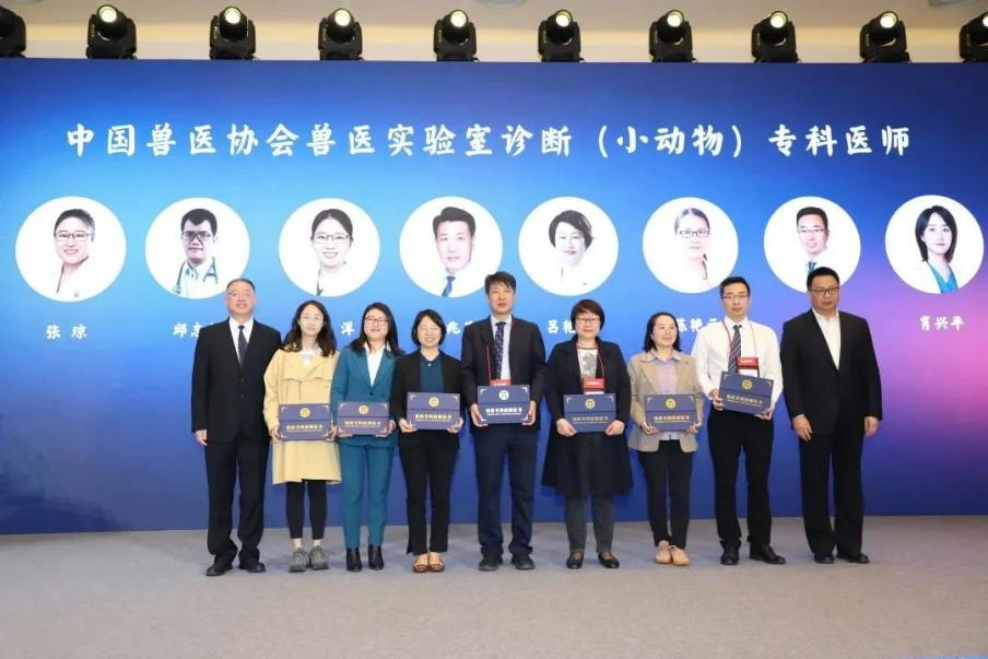 a5娱乐下载