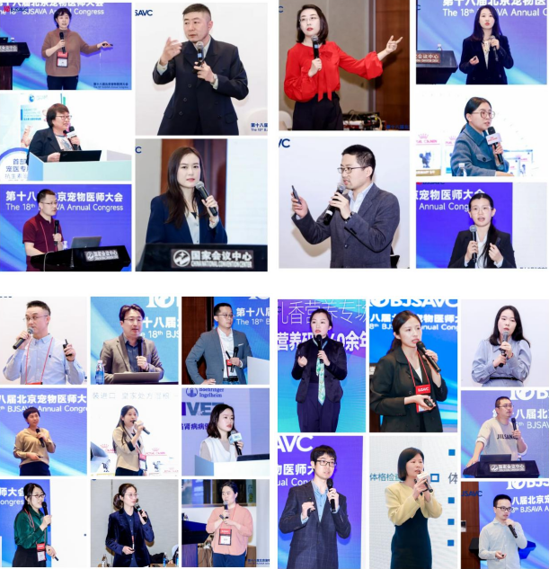a5娱乐下载