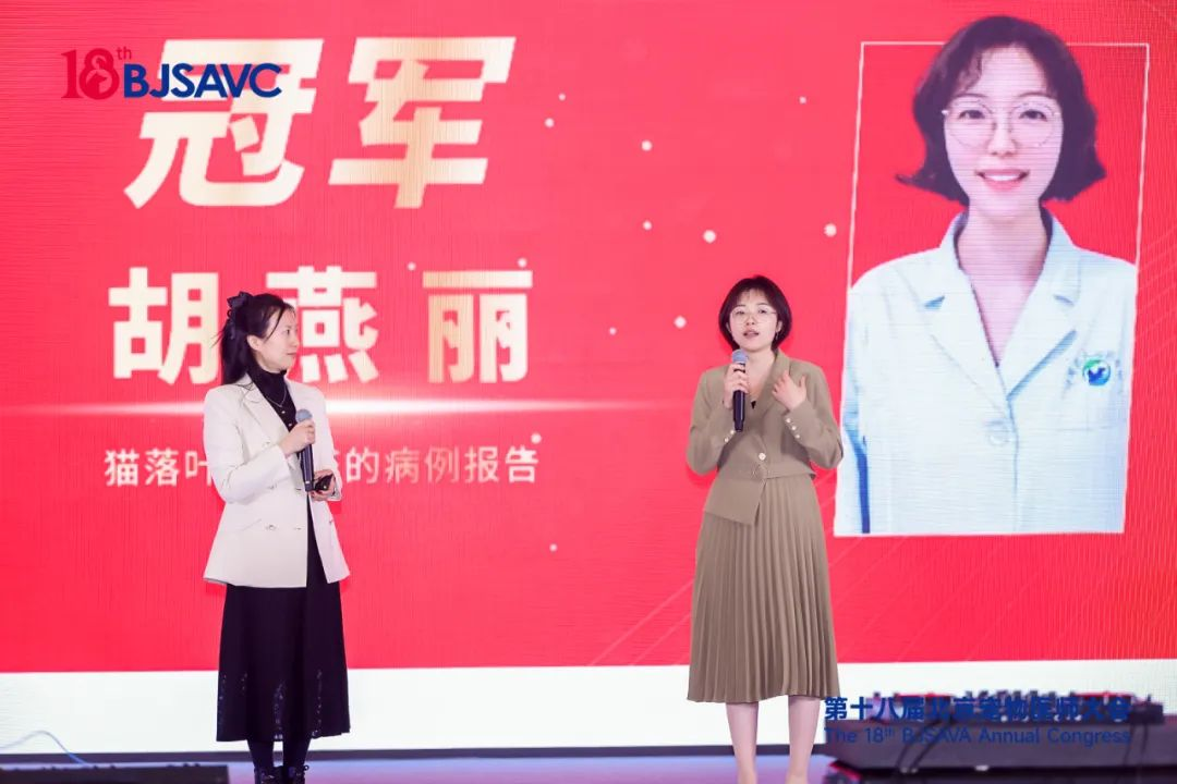 a5娱乐下载