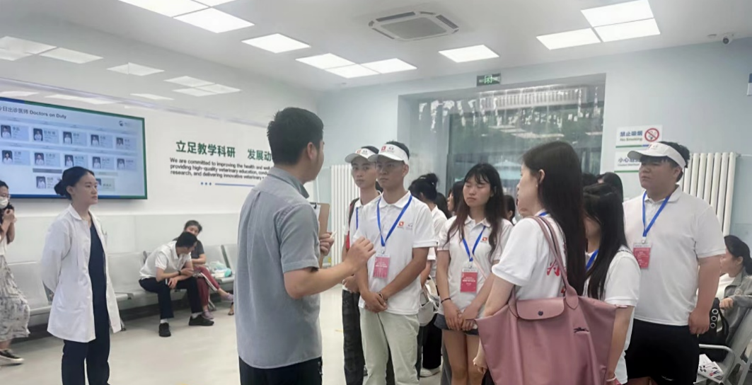 a5娱乐下载