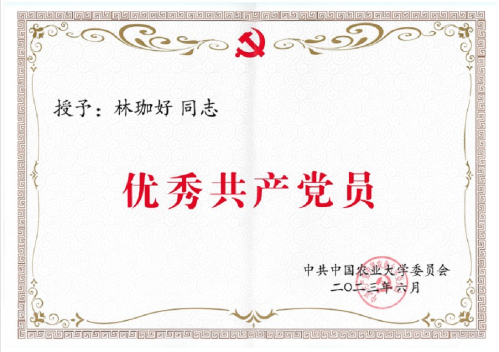 a5娱乐下载