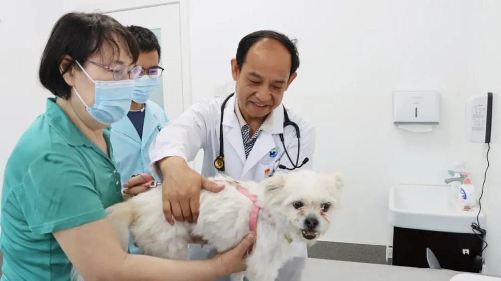 a5娱乐下载