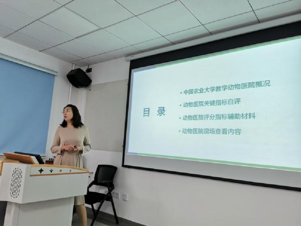 a5娱乐下载