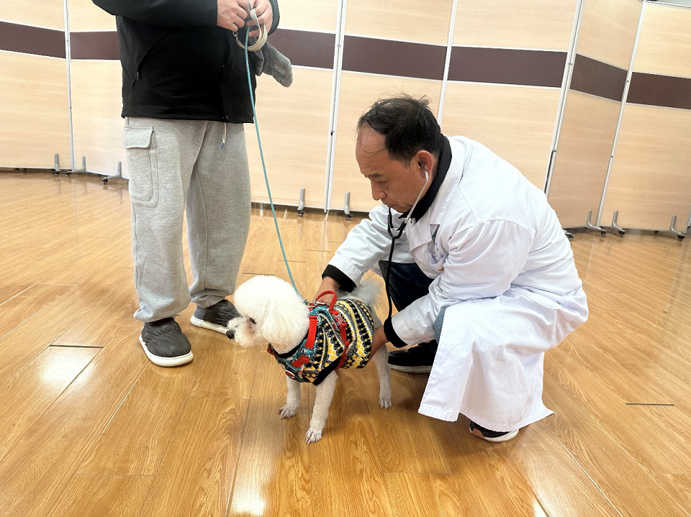 a5娱乐下载