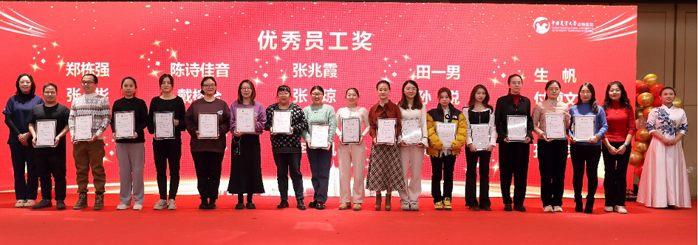 a5娱乐下载