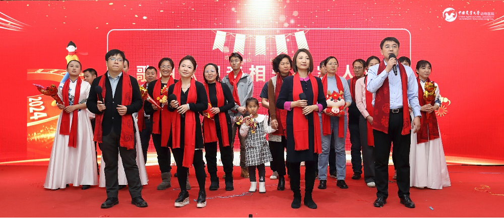a5娱乐下载