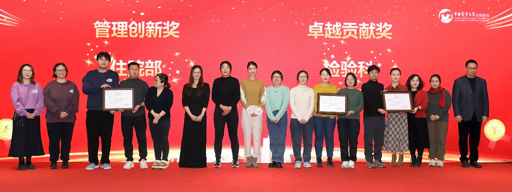 a5娱乐下载