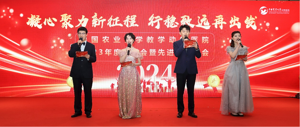 a5娱乐下载