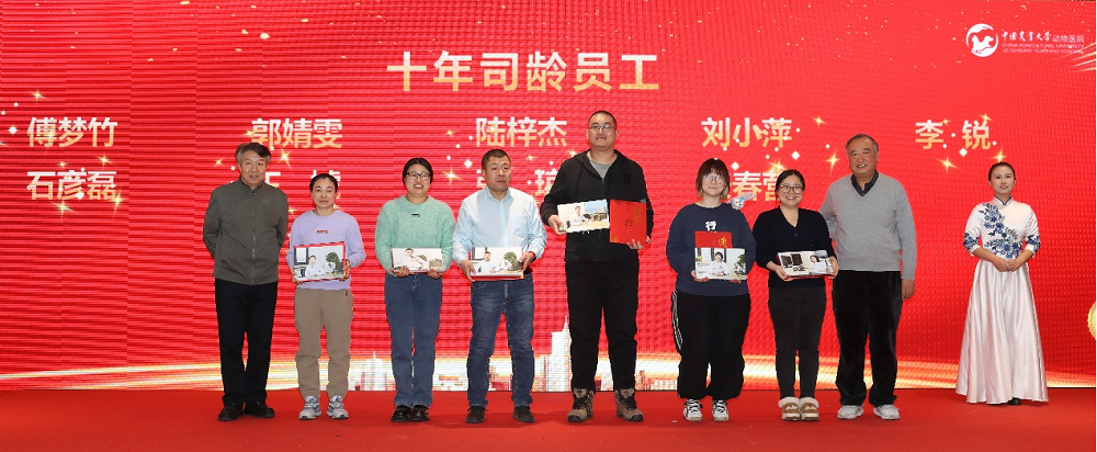 a5娱乐下载