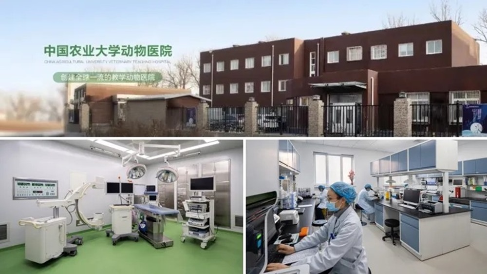 a5娱乐下载