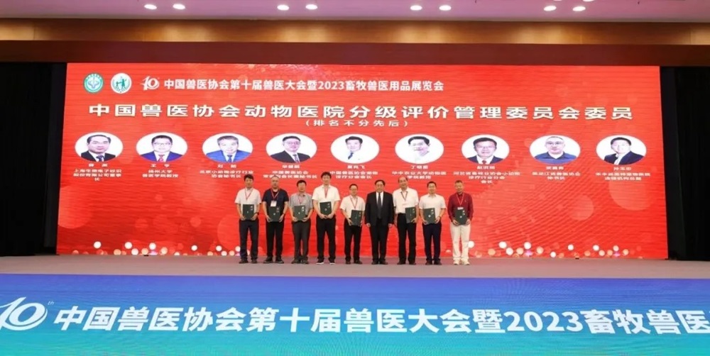 a5娱乐下载