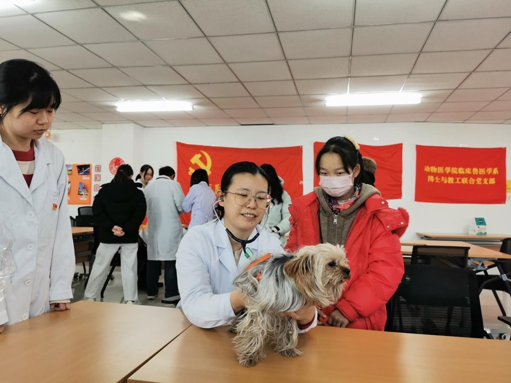 a5娱乐下载