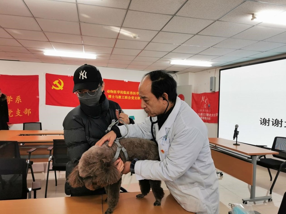 a5娱乐下载