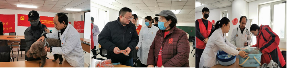 a5娱乐下载