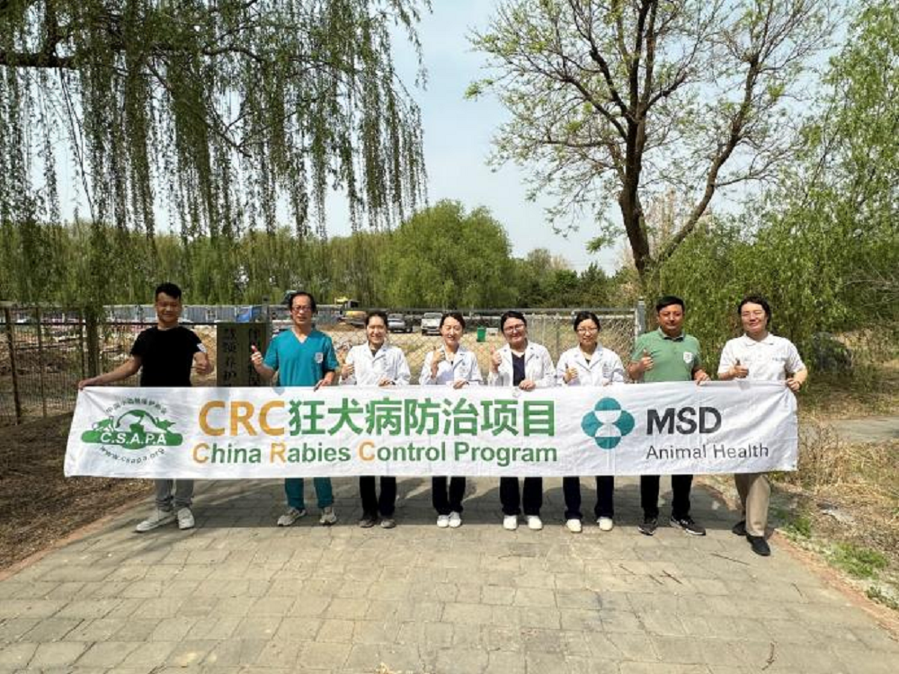 a5娱乐下载