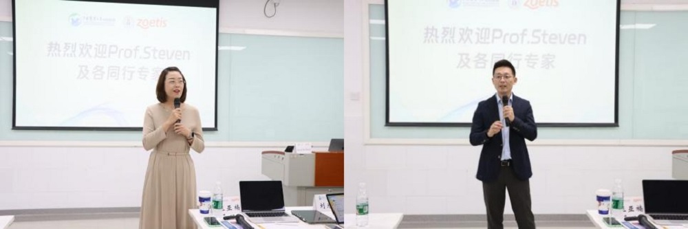 a5娱乐下载