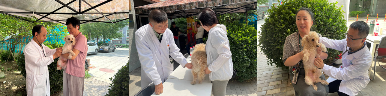 a5娱乐下载