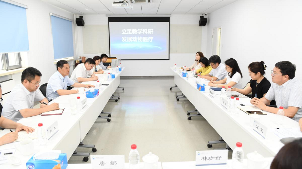 a5娱乐下载