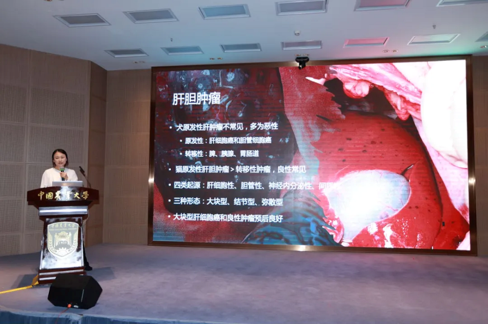 a5娱乐下载