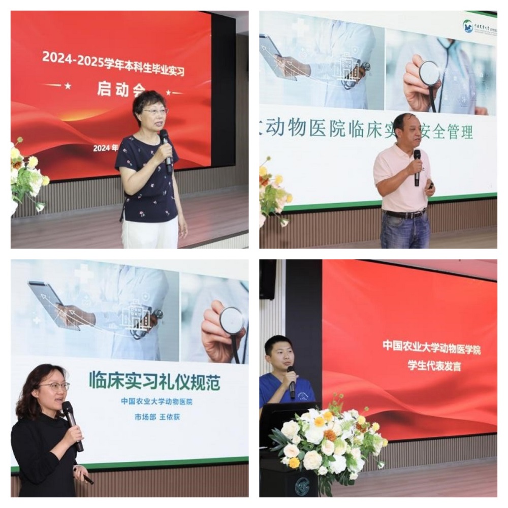 a5娱乐下载