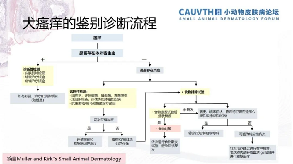 a5娱乐下载